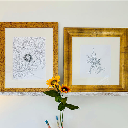 (a sunny pairing) two framed creations